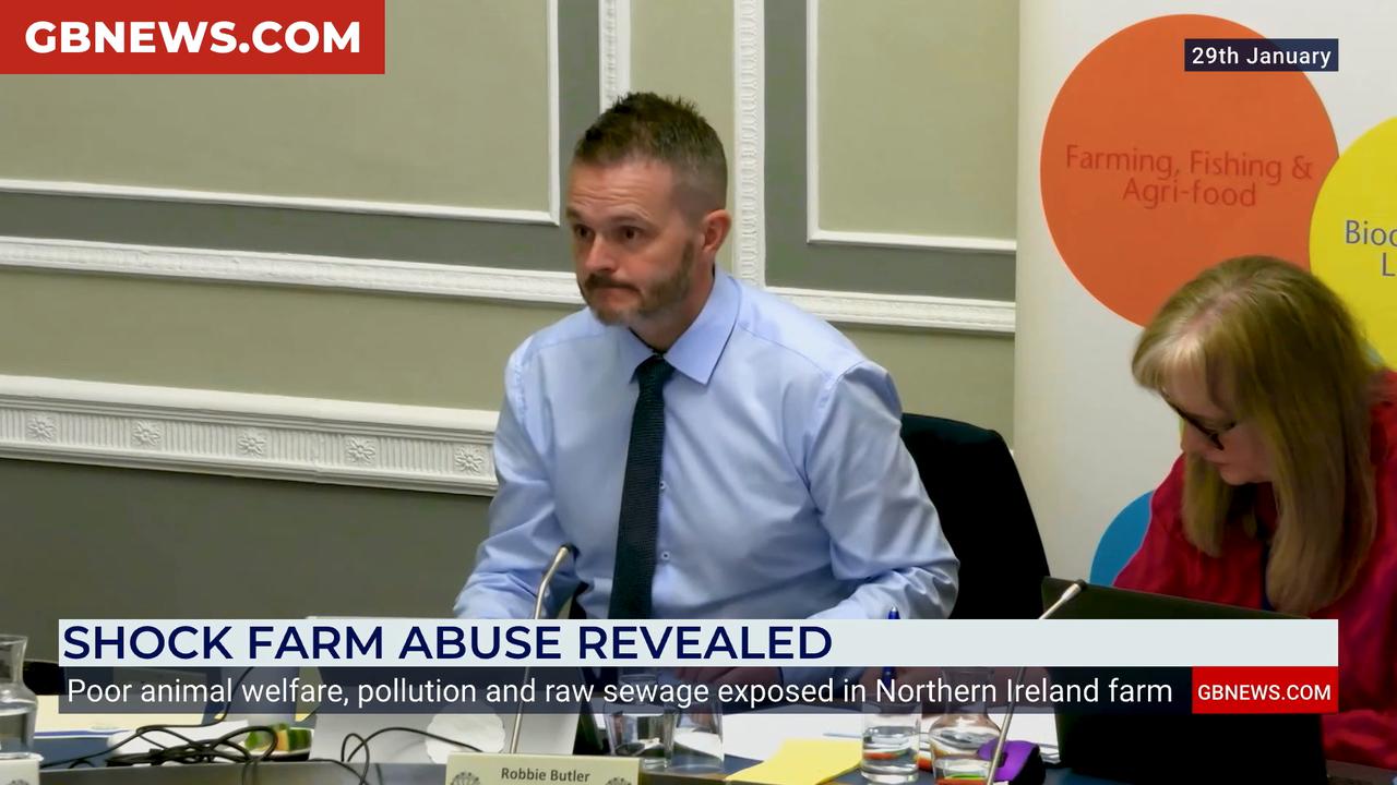 Video thumbnail for WATCH: Northern Ireland farm accused of poor animal welfare as whistleblower speaks to GB News