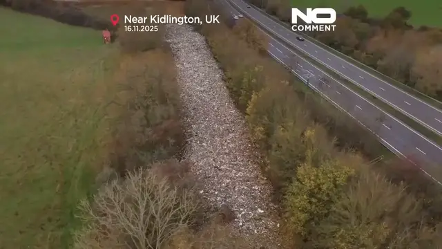 'Video thumbnail for Hundreds of tons of waste dumped in southern England spark ‘ecological disaster’ warning'