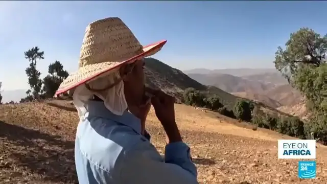 'Video thumbnail for Morocco: In Azilal region, locals fight to preserve herders' ancestral whistled language'
