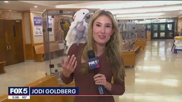 Video thumbnail for Long Island high school brings animals to class to teach life lessons