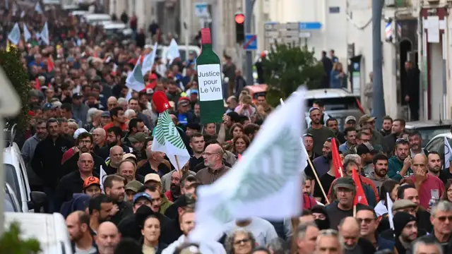 'Video thumbnail for Tariffs, climate change, energy prices... tough times for France's winemakers'