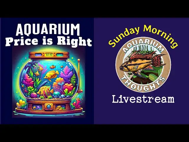 Video thumbnail for The Aquarium Price is Right - Livestream Episode 02