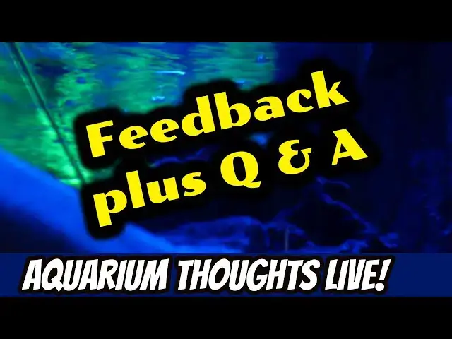 Video thumbnail for Feedback plus Question an Answer - Aquarium Thoughts LIVE! #2017
