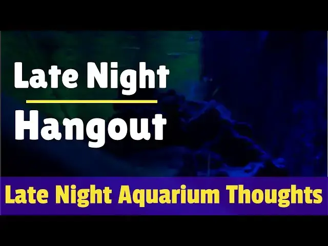 Video thumbnail for Late Night Hangout - Late Night Aquarium Thoughts