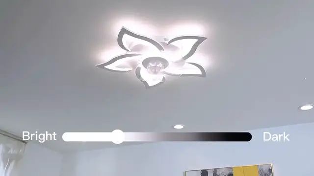 Video thumbnail for Bedroom Ceiling Fan with Lights - Brightness & Temp
