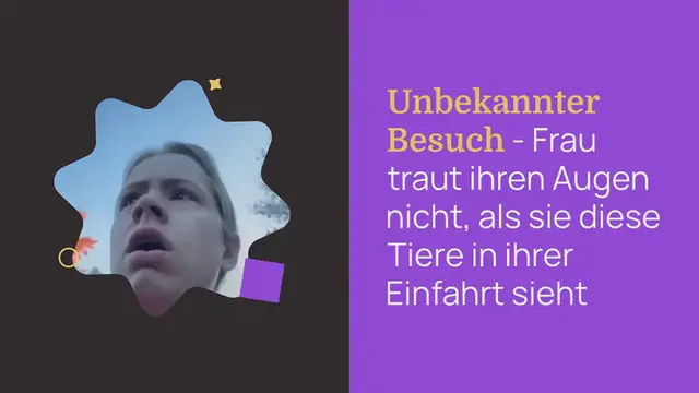 Video thumbnail for Unerwarteter Besuch – Frau traut ihren Augen nicht, als sie diese Tiere in ihrer Einfahrt sieht