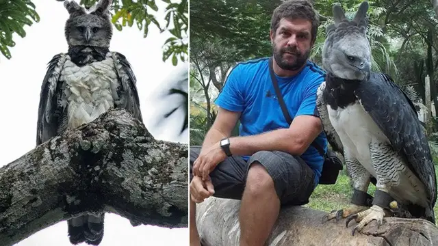 Video thumbnail for 10 of the Largest Species You’ve Probably Never Heard Of