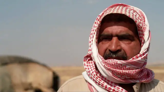 'Video thumbnail for Syria's Bedouin communities adapt as traditional way of life faces challenges'