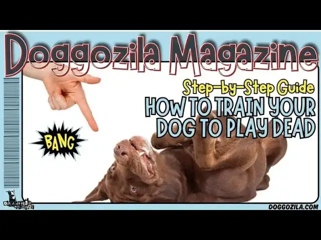 Video thumbnail for How to Train Your Dog to Play Dead?