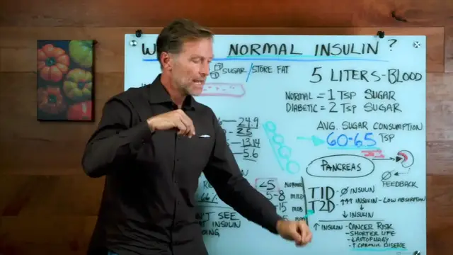 Video thumbnail for You ve Been Lied to About Normal Insulin(720P HD)