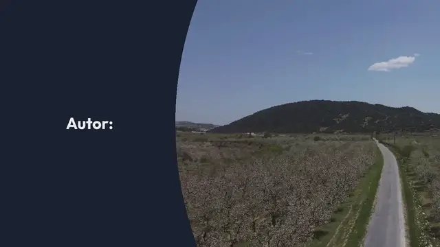 Video thumbnail for 328: Diccionario SEO Avanzado