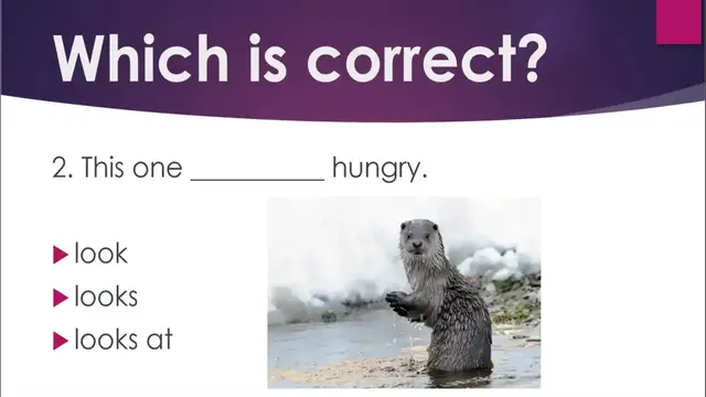 Video thumbnail for Look-see-watch-verbs