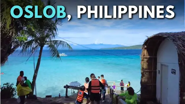Video thumbnail for Oslob Cebu Travel Guide: Whale Sharks Waterfalls & Beaches