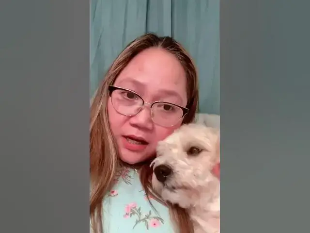 'Video thumbnail for #came from bible study#my dog is sick#look sad#my handsome dog'