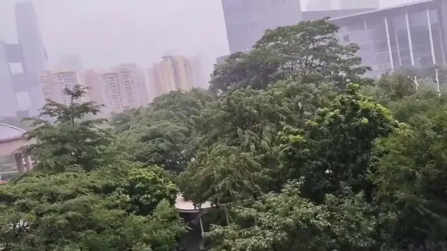 Video thumbnail for Typhoon Noul Brings Wind And Rain To Shenzhen.