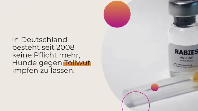 Video thumbnail for Tollwut-Impfung beim Hund: Alles, was du wissen musst