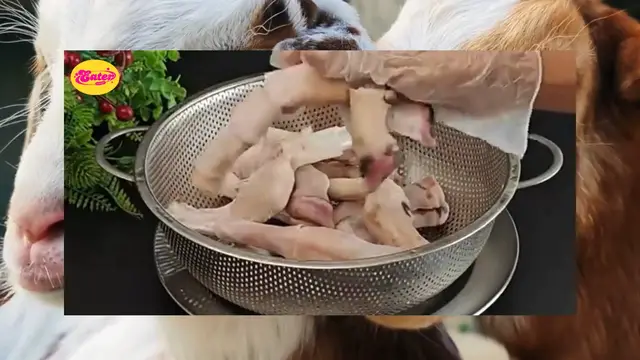 Video thumbnail for Healthy and Delicious Mutton Leg Soup Recipe