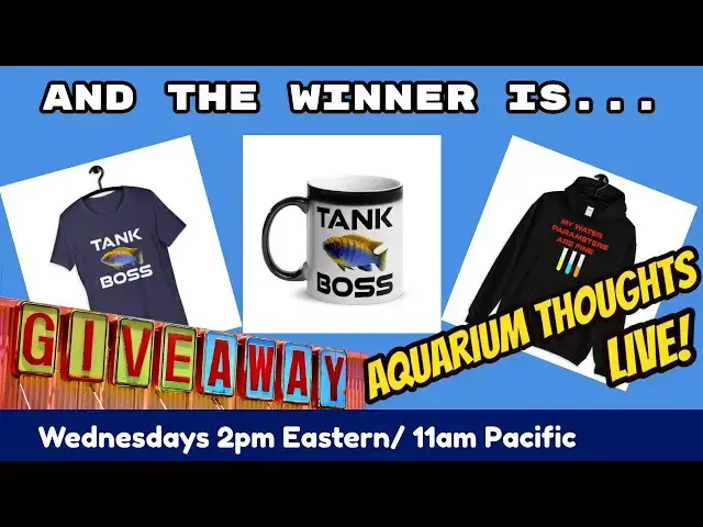 Video thumbnail for The winner is... (Giveaway winner announcement) - Aquarium Thoughts Live! #2010