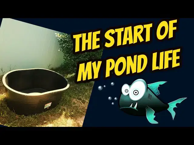 Video thumbnail for Beginning my Tub Pond Journey - Aquarium Thoughts