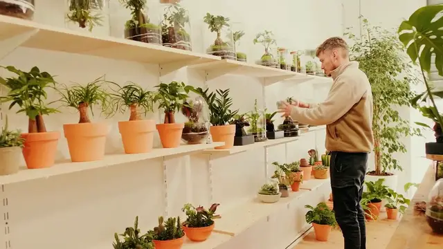 Video thumbnail for Hanging Plant Shelf Ideas