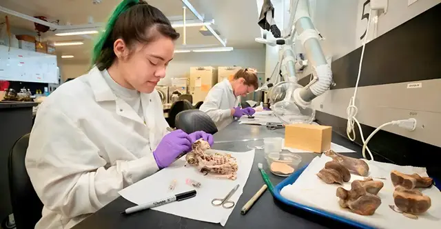 Video thumbnail for Ancient DNA Reveals People Lived at Gateway Between the Americas