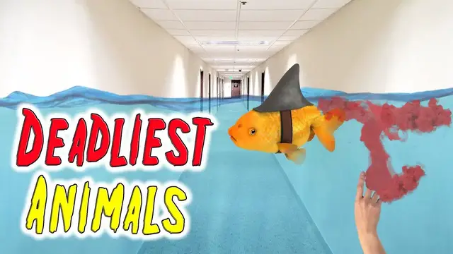 'Video thumbnail for Top 10 Animals that Kill the Most People in the US.'