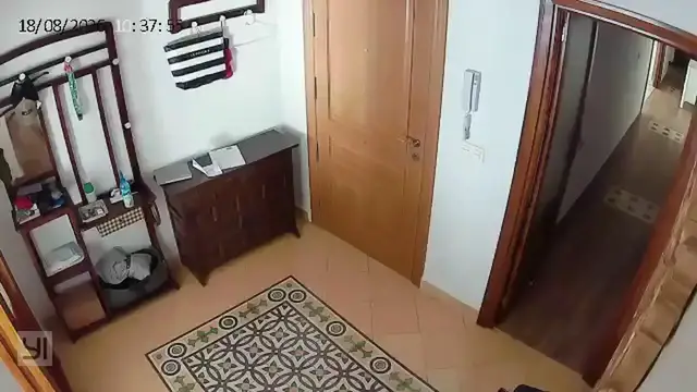 Video thumbnail for Spain: Magnitude 4.8 Earthquake Hits Granada 6.