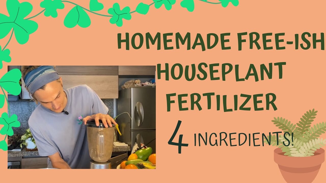 Video thumbnail for HOUSEPLANT FERTILIZER - Free Homemade All-Purpose Plant Food (SUB SPANISH)