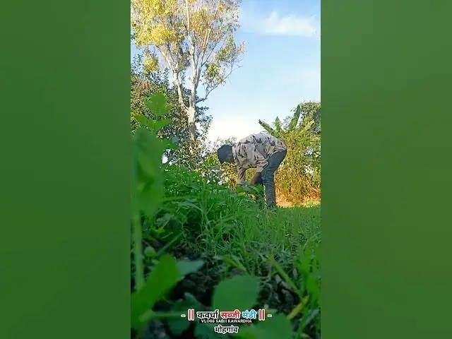 Video thumbnail for New 2026 Sabji vlogs #shortvideo #sabji #vlog