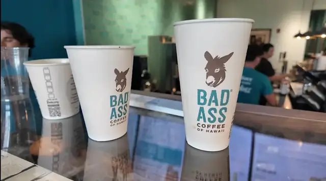 Video thumbnail for Bad Ass Coffee celebrates Hawaiian shirt day with free coffee