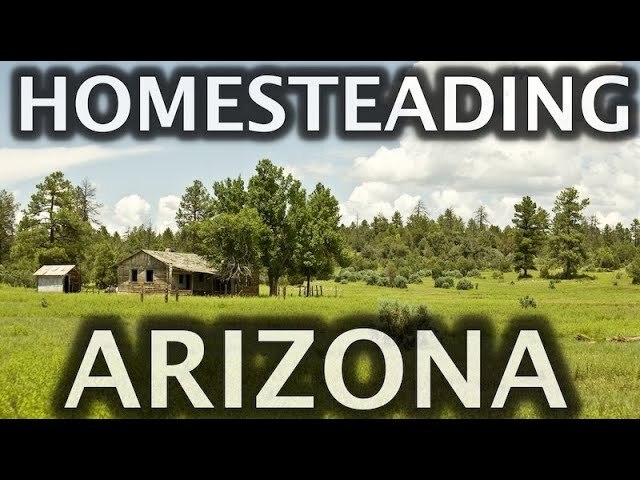 Video thumbnail for Homesteading in Arizona on Raw Land
