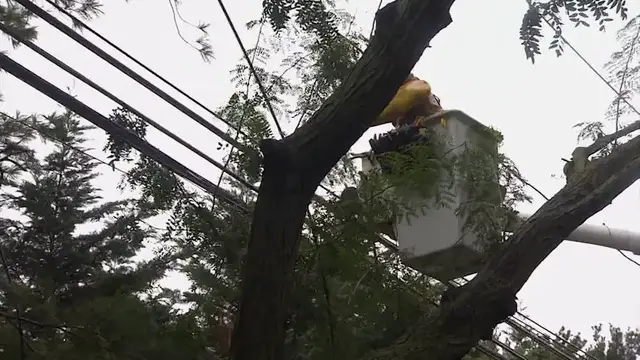 Video thumbnail for Thousands of Long Islanders without power after severe thunderstorm, damaging winds