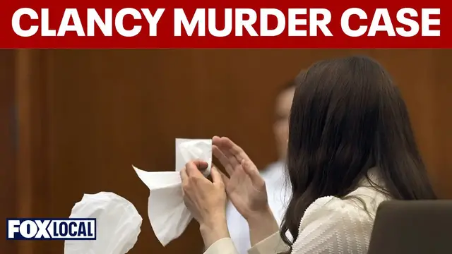 Video thumbnail for Lindsay Clancy murder case sparks debate on postpartum psychosis and legal defense