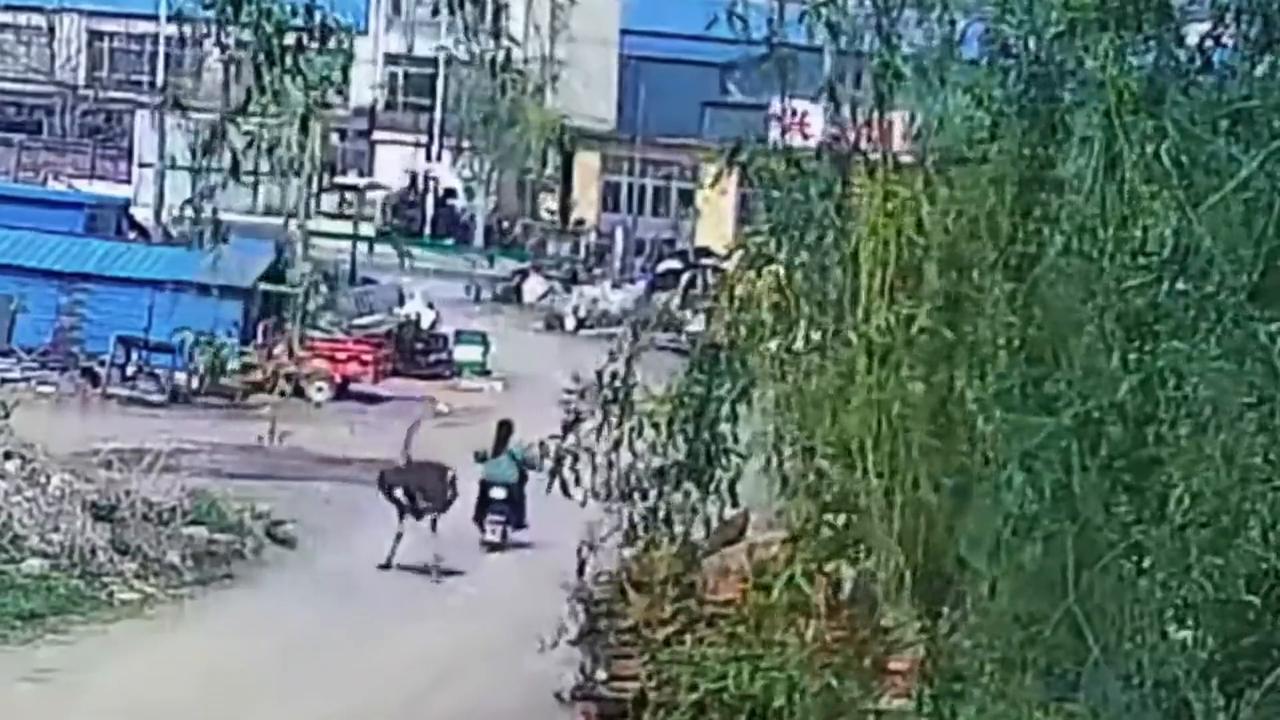 Video thumbnail for China: Strich chased electric scooter through street before knocking Chinese woman down.
