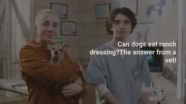 Video thumbnail for Can dogs eat ranch dressing? The answer from a vet!