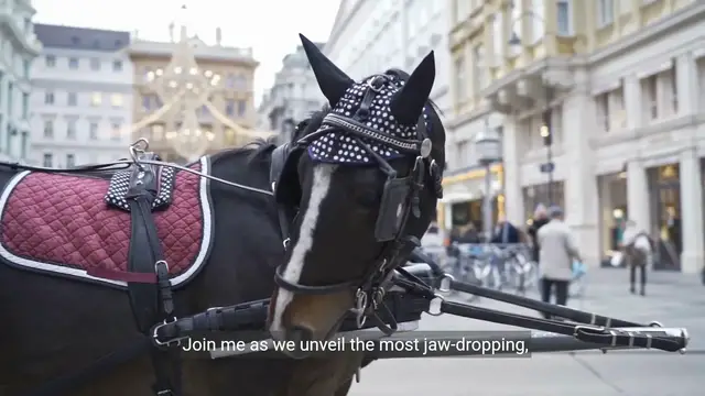 Video thumbnail for Unveiling the World's Most Expensive Horse Sale | Equestrian Luxury Showcase