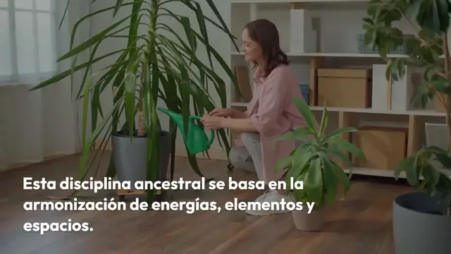 Video thumbnail for Esto es lo que pasa cuando crece un cactus en tu casa