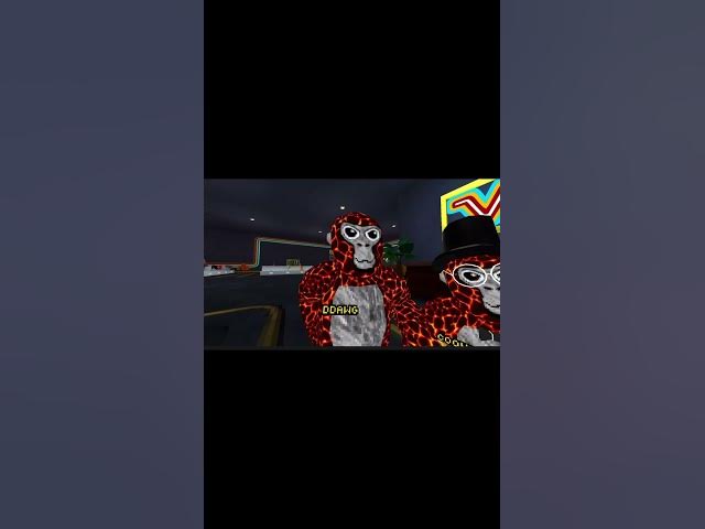 Video thumbnail for I met a as bage #gorillatag #sub  to me and official blackout BT