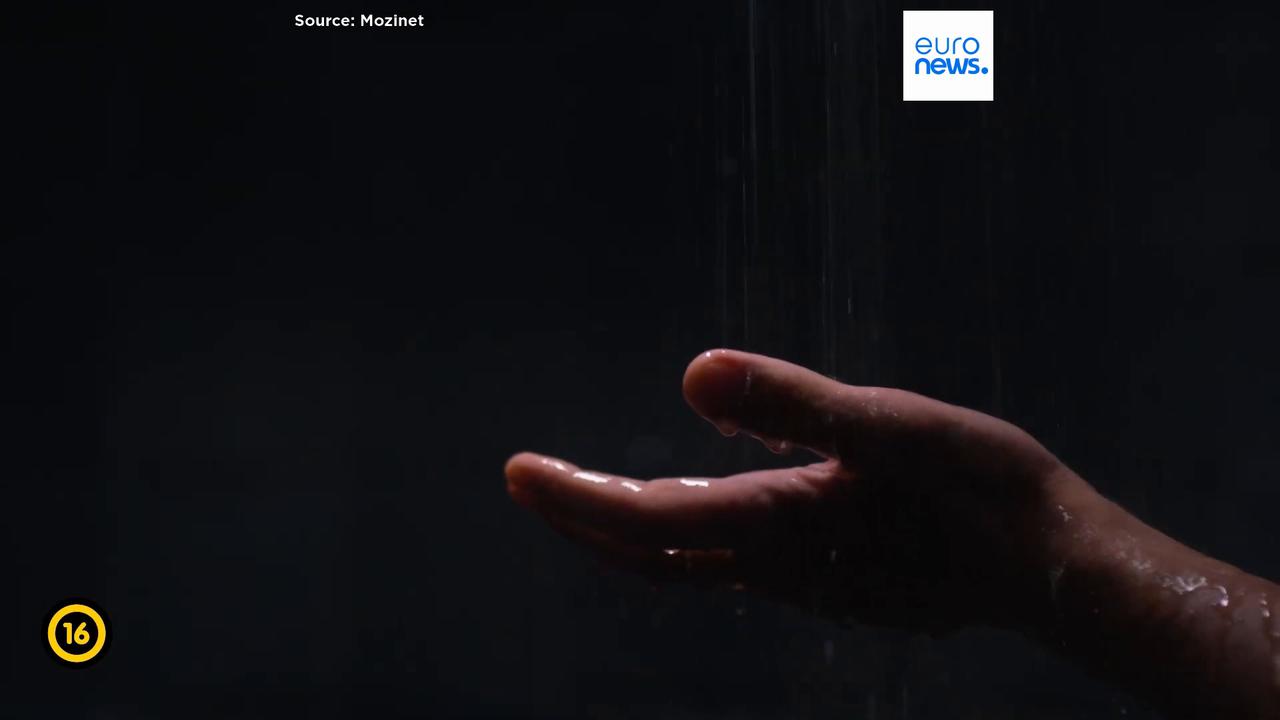 Video thumbnail for Gardening for life: Ildikó Enyedi’s new film Silent Friend examines ties between people and plants