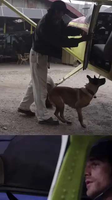 Video thumbnail for The Dog Stars (Vertical Featurette)