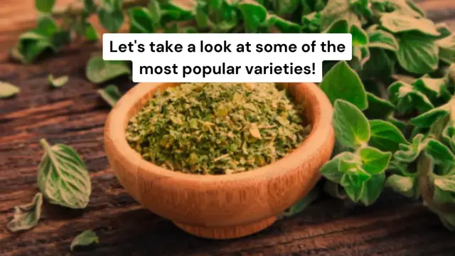 Video thumbnail for What are the different types of oregano plants