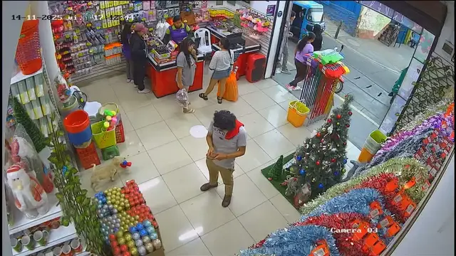 Video thumbnail for Dog makes a playful attempt to snag Spider-Man toy in Peru store