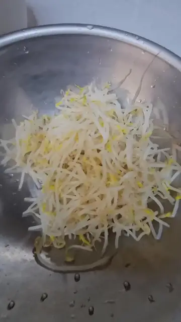 Video thumbnail for 나물 무쳐요 숙주나물 숙주 나물 나물요리 나물무침