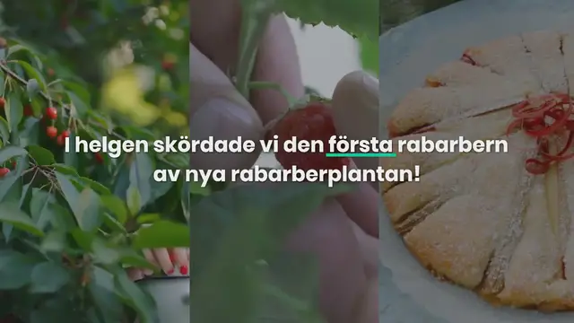 Video thumbnail for Rabarberkladdkaka