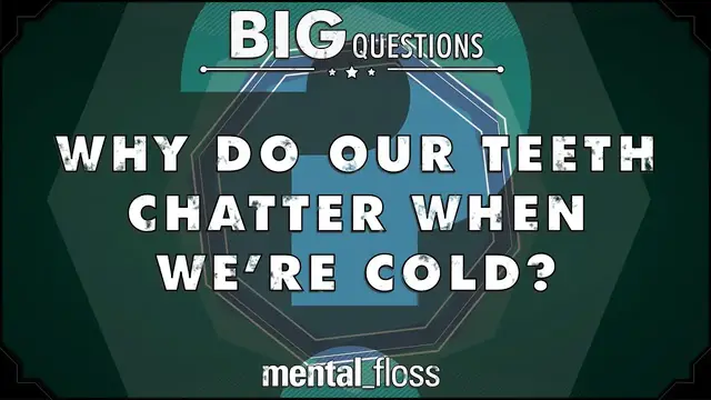'Video thumbnail for Why do our teeth chatter when we're cold? - Big Questions (Ep. 14)'