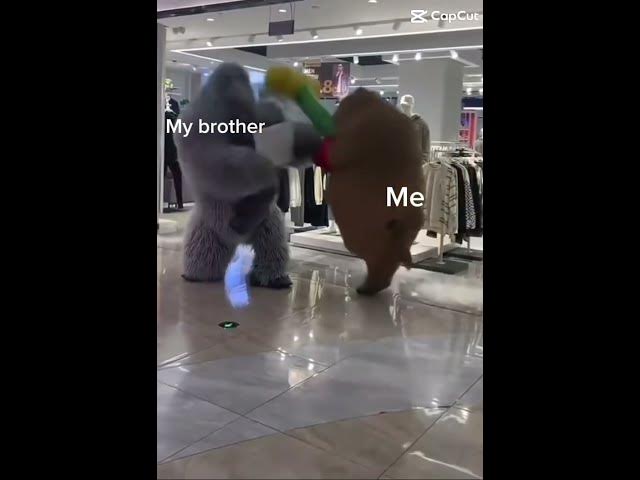 Video thumbnail for 22 January 2025