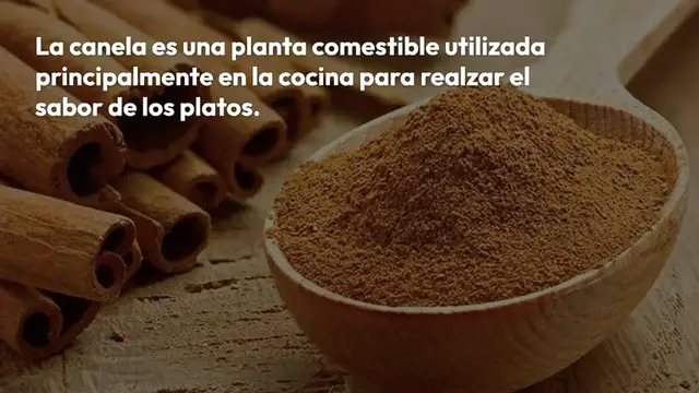 Video thumbnail for ¿Cómo usar la canela para proteger las plantas de interior de los insectos y el moho?