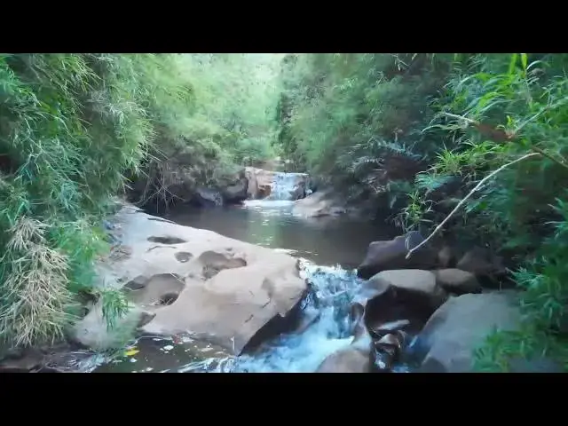 Video thumbnail for Incredible Japan Sushi Tokyo Night life