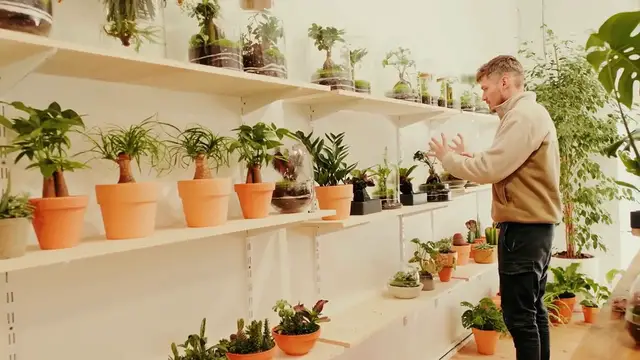 Video thumbnail for Low-Maintenance Vertical Garden Plants