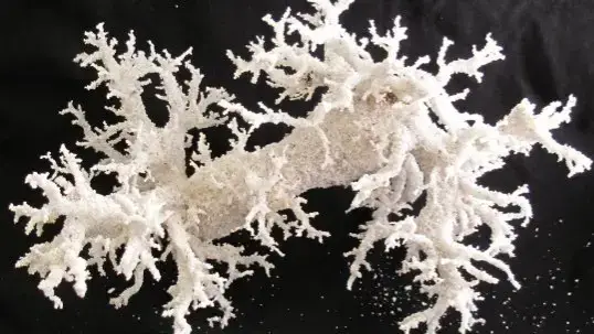 Video thumbnail for Lightning Strikes Sand, Forming Fulgurites; Spot Them on Beaches